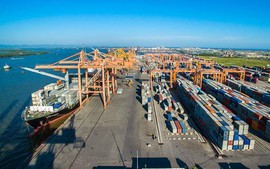 Biểu giá mới dịch vụ bốc dỡ container cảng biển từ 15/2/2024