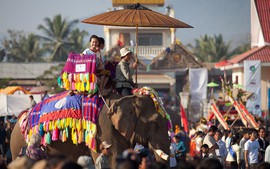 Ngắm linh vật quốc gia Lào tại Lễ hội Voi Xayaboury