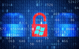 Cảnh báo 12 lỗ hổng bảo mật nghiêm trọng trong các sản phẩm Microsoft