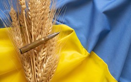 Xung đột Nga - Ukraine và tình trạng thiếu lương thực trên thế giới
