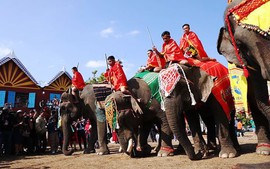 Lễ hội Cà phê Buôn Ma Thuột 2023: Ấn tượng Hội voi và Lễ hội Văn hóa truyền thống huyện Buôn Đôn