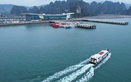 Quảng Ninh: Cảng tàu hơn 610 tỉ đồng vừa hoạt động đã lộ bất cập