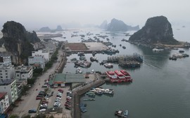 Quảng Ninh: Không có việc dừng hoạt động vận chuyển khách tại cảng Cái Rồng, Vân Đồn