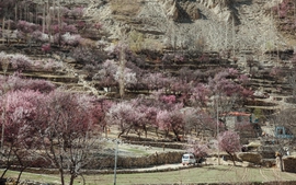 Mùa xuân ở Hunza đẹp đến say mê