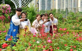 Du lịch Hàn Quốc: Trải nghiệm lễ hội mùa Xuân kéo dài và nhiều sự kiện thú vị