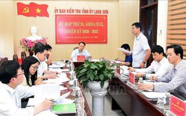 Đề nghị khai trừ Đảng đối với Phó Giám đốc Sở Văn hóa, Thể thao và Du lịch Lạng Sơn