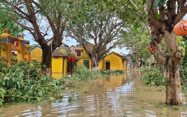 Gần 22 tỷ đồng cứu trợ khẩn cấp các tỉnh bị ảnh hưởng do bão lũ tháng 10/2022 