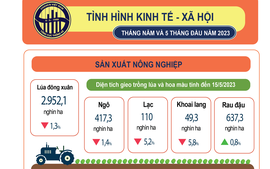 Tình hình kinh tế-xã hội 5 tháng đầu năm 2023