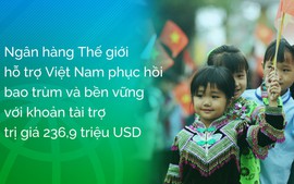 Ngân hàng Thế giới hỗ trợ Việt Nam hơn 263 triệu USD phục hồi kinh tế