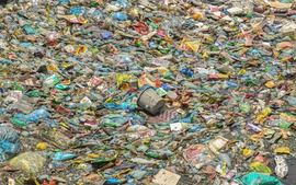 Rác thải nhựa khiến hàng triệu người có nguy cơ đối mặt với lũ lụt thường xuyên và dữ dội hơn