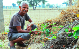 Nắng nóng kỷ lục khiến cà chua thành mặt hàng xa xỉ ở Ấn Độ