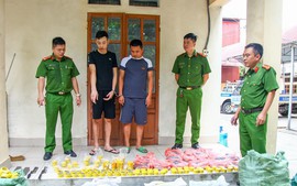 Thái Nguyên: Bắt giữ nhóm đối tượng buôn bán hàng cấm, sản xuất trái phép đạn súng hơi