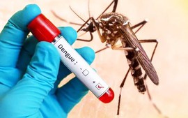Hà Nội: Số ca sốt xuất huyết tăng 5 lần so với cùng kỳ năm trước