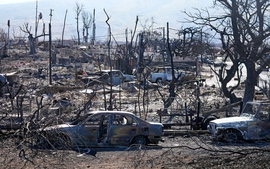 Thảm họa cháy rừng ở Hawaii: Thiệt hại ước tính 6 tỷ USD, quá trình tái thiết có thể mất đến vài thập niên