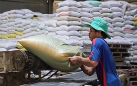 Bộ Công Thương chỉ đạo nóng về xuất khẩu gạo và bình ổn thị trường