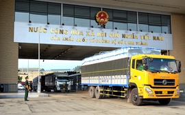 Lào Cai là địa phương thứ 2 triển khai cửa khẩu số thông quan xuất, nhập khẩu
