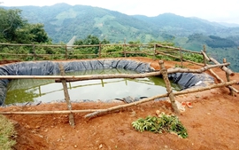 Lào Cai: 3 trẻ em tử vong do đuối nước trên đồi trồng chuối