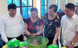 Thái Nguyên: Hội thi "Mổ lợn nhựa" khuyến học được gần 1 tỉ đồng