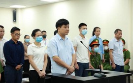 Vụ nâng khống giá cây xanh: Ông Nguyễn Đức Chung lĩnh án 18 tháng tù