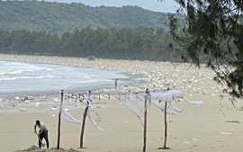 Quảng Ninh: 7km bờ biển Cô Tô bị phao xốp "tấn công"