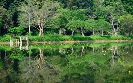 Vườn quốc gia Cúc Phương có gì mà 5 lần liên tiếp được bình chọn là "Vườn quốc gia hàng đầu châu Á"?