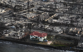 Sức sống của ngôi nhà gỗ trăm tuổi sau thảm họa cháy rừng Hawaii