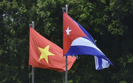 Tăng cường hợp tác, đưa quan hệ kinh tế tương xứng với quan hệ chính trị tốt đẹp Việt Nam - Cuba