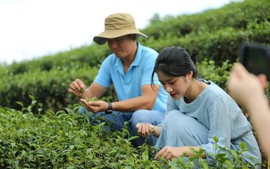 Sản phẩm OCOP nhiều nhưng thiếu đặc trưng, hướng đi nào cho phát triển du lịch nông nghiệp Việt?