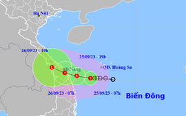 Tin mới nhất về áp thấp nhiệt đới khẩn cấp trên Biển Đông