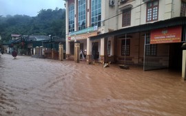 Thông tin mới nhất về thiệt hại do mưa lớn ở các tỉnh Trung Bộ, Tây Bắc Bộ
