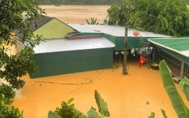 Hơn 1.000 nhà dân vẫn bị ngập, cô lập do mưa lớn