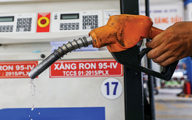 Ngành Thuế nêu giải pháp ngăn doanh nghiệp xăng dầu nợ thuế