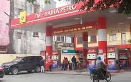 Hải Hà Petro và Xuyên Việt Oil bị dừng thông quan xăng dầu