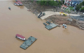 Buộc phải cắt cầu phao Phong Châu (Phú Thọ)