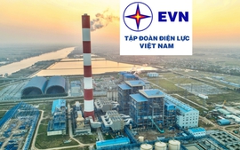 Phê duyệt Đề án cơ cấu lại EVN giai đoạn đến hết năm 2025