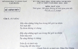 Đề thi học sinh giỏi Ngữ văn: "Cái vĩ đại của văn học là quan tâm đến bóng tối và cái ác"