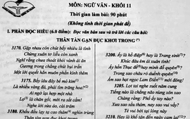 Đề kiểm tra Ngữ văn tràn 2 mặt giấy, chi chít chữ, gây "choáng"