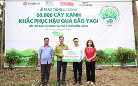 SeABank và Tập đoàn BRG chung tay trồng 68.000 cây phủ xanh gần 20ha rừng tại Lào Cai