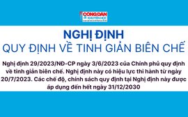 Mức lương của người nghỉ hưu trước tuổi do tinh giản biên chế là bao nhiêu?