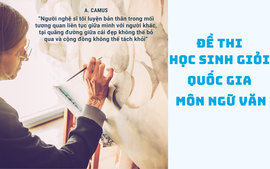 Đề thi học sinh giỏi quốc gia môn Ngữ văn có ngữ liệu trừu tượng?