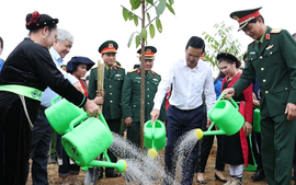 Chủ tịch nước phát động Tết trồng cây “Đời đời nhớ ơn Bác Hồ”