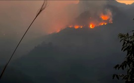 Cháy rừng ở Sa Pa - hơn 400 người đang nỗ lực dập lửa