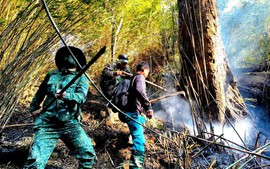 Cháy rừng ở Sa Pa: Điểm cháy cuối cùng treo ngang  vách núi cao đã bị khống chế