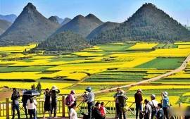 Du lịch Trung Quốc: Top 8 điểm đến mùa xuân "đốn tim" du khách