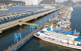 Quảng Ninh: Cảng tàu khách quốc tế Hạ Long và Tuần Châu tăng giá dịch vụ