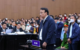 Vụ Tân Hoàng Minh: Ông Đỗ Anh Dũng nhận án 8 năm tù