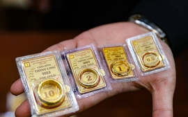 Ngân hàng Phát triển châu Á lý giải nguyên nhân giá vàng Việt Nam liên tục tăng