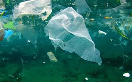 Những con số đáng báo động về ô nhiễm nhựa