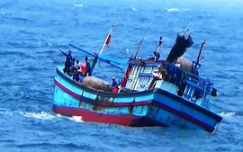 Quảng Ninh: Chìm tàu cá do dông lốc, 4 ngư dân mất tích