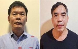 Vụ Phúc Sơn: Thêm một lãnh đạo tỉnh Vĩnh Phúc bị khởi tố